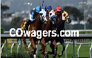 COwagers.com domain for sale image